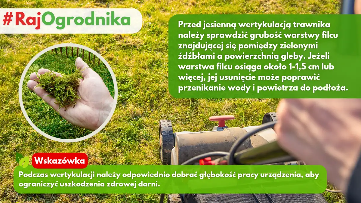 Wertykulacja trawnika przed zimą blog sklep rajogrodnika